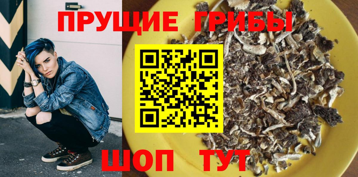 Псилоцибиновые грибы мицелий Россошь