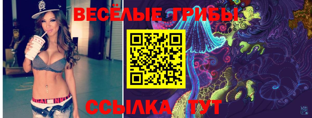 Альфа ПВП Россошь