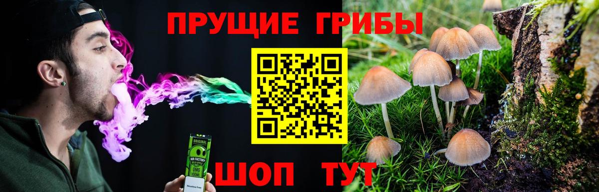 Галлюциногенные грибы Magic Shrooms  Вход с VPN  Россошь  Псилоцибиновые грибы GOLDEN TEACHER 